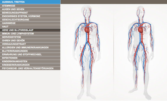 bodymap