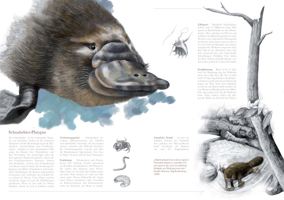 platypus